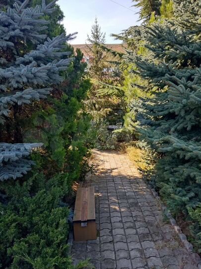 Комната 35 м², 3/3 эт.