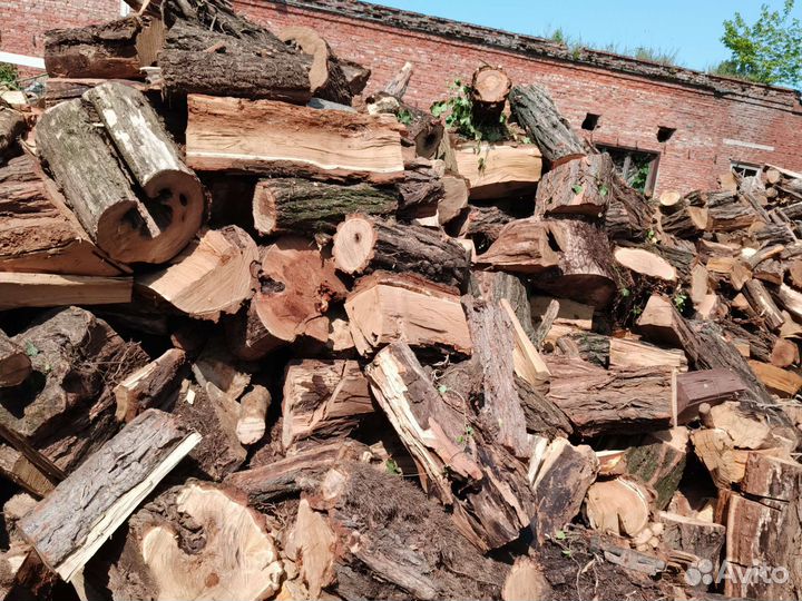 Дрова твёрдых пород