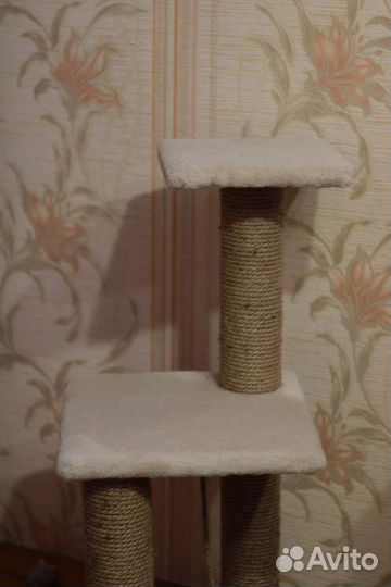 Когтеточка