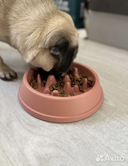 Миска для медленного кормления