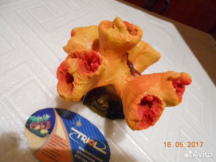 Коралл декоративный 