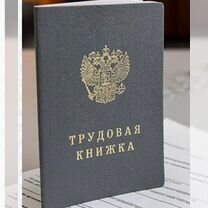 Трудовая книжка новая