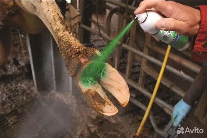 Стрижка овец