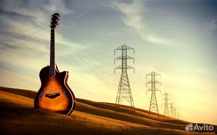 Гитары от 3.500 и для нач рокера и услуги мастера