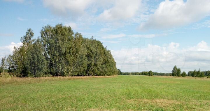 Участок 8 сот. (ИЖС)