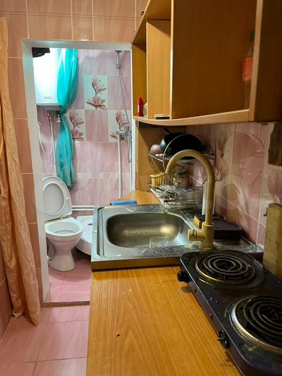 Дом 16,3 м² на участке 3 сот.