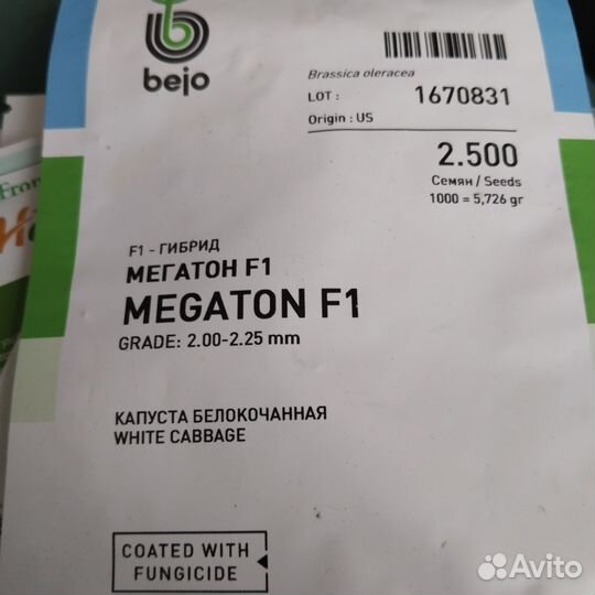 Рассада капусты