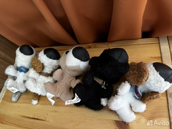 5 большеголовых собачек