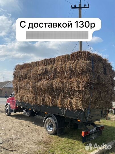 Салама,люцерна,суданка И Т Д