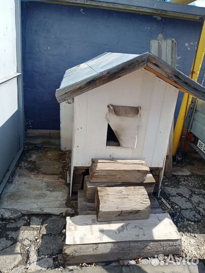 Собачья будка