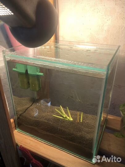 Аквариум 10л +пропант+декор бронь