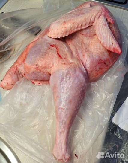 Индейка тушка Халяль