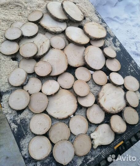 Спилы дерева Ясень