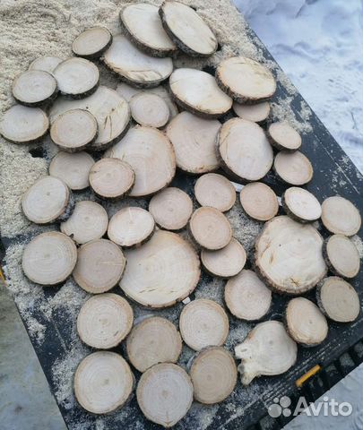 Спилы дерева Ясень