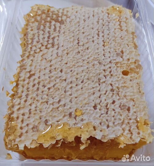 Сотовый мед