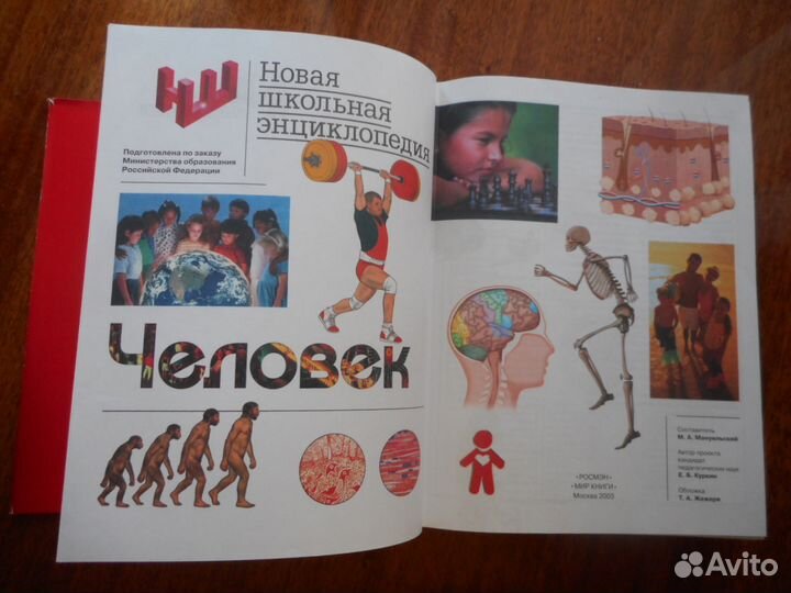 Новая школьная энциклопедия. Человек