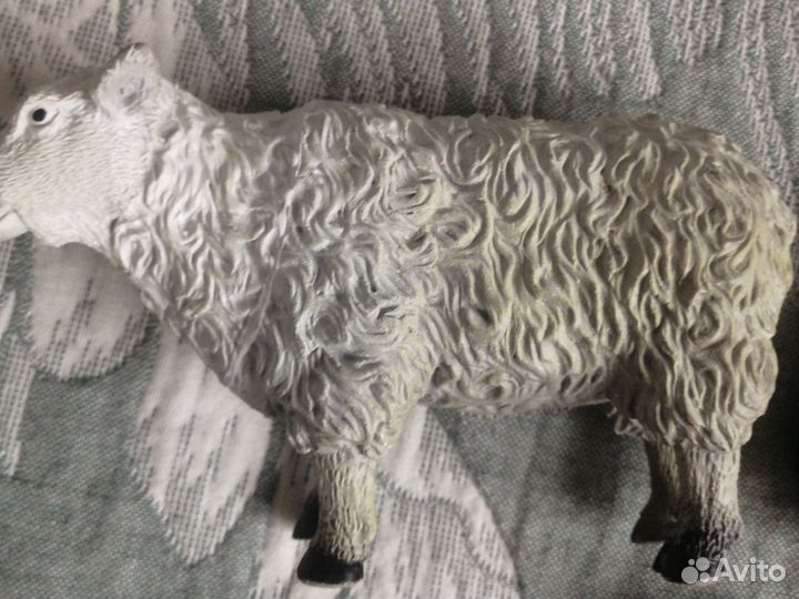 Модели животных