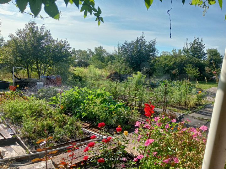 Дача 26 м² на участке 9 сот.