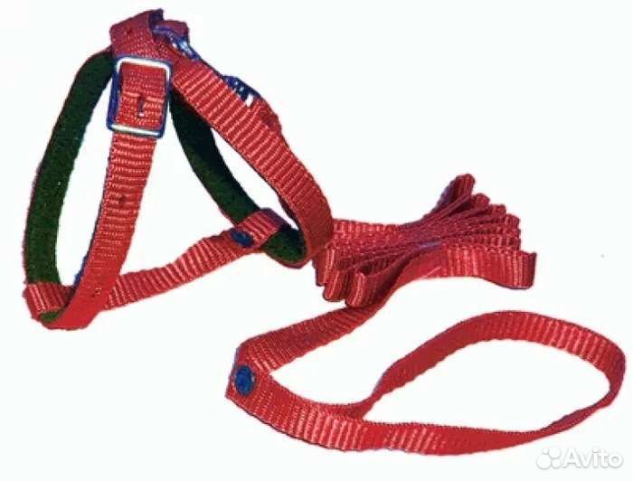 Шлейка для кошки