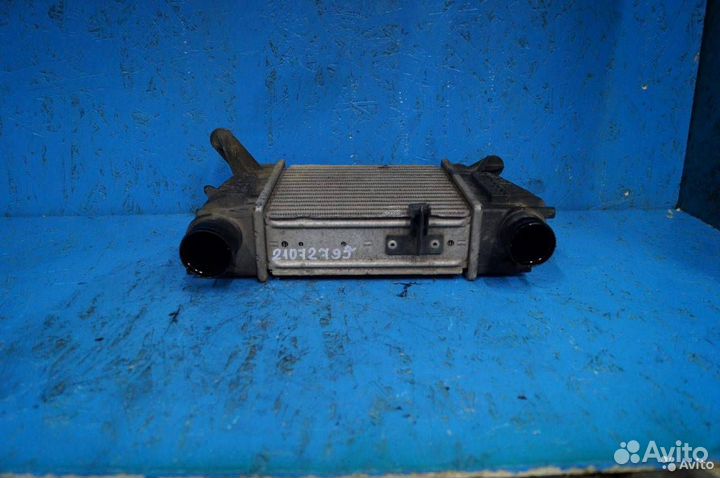 Интеркулер Renault Clio 3 (2005 - 2009) 8200471885