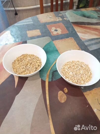 Овсяный кисель по Изотову