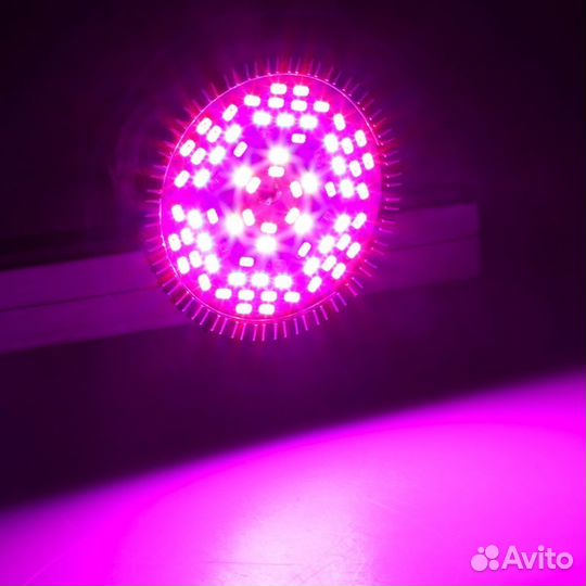 Фитолампа-50Вт(новая, в упаковке)