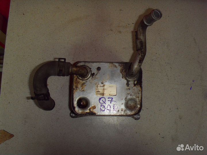 Радиатор масляный 079117015A Audi Q7 (4L) (4LB)