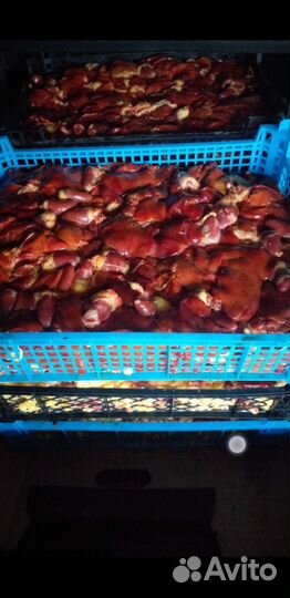 Халяль куры и индейка