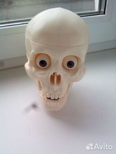 Череп пластмассовый на подставке