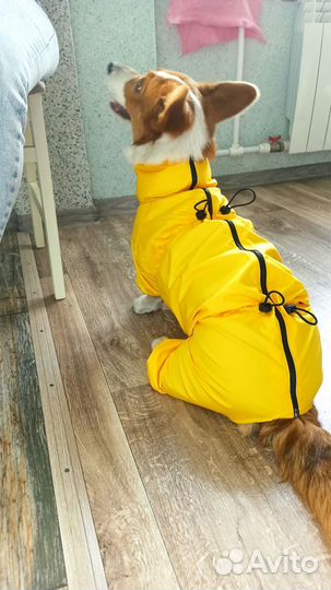Дождевик для собаки