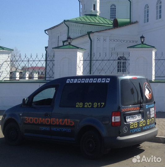 Зоотакси Красноярск