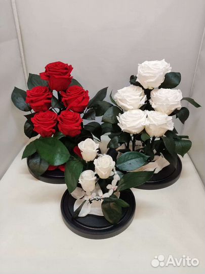 Подарок на новый год / Роза в колбе