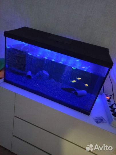 Аквариум