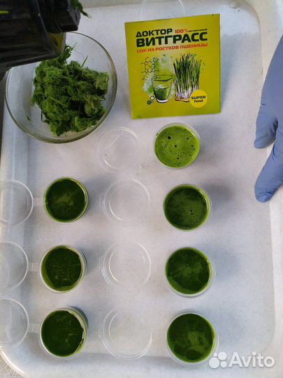 Витграсс, свежий сок пшеницы,в наличии