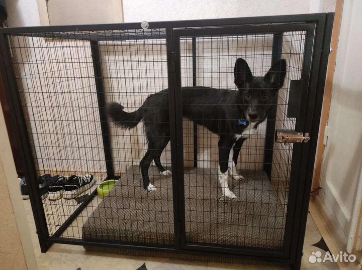 Клетка для собак