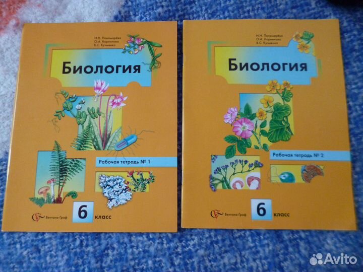 Учебники 6-8 класс и рабочие тетради