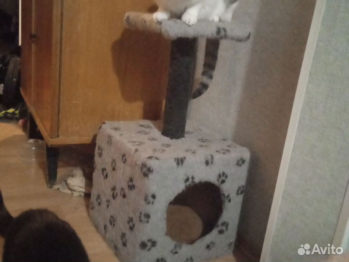 Домик для кошки с когтеточкой бу