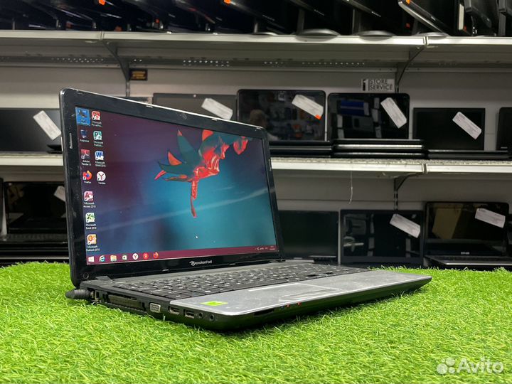 Ноутбук Packard Bell ente 11HC