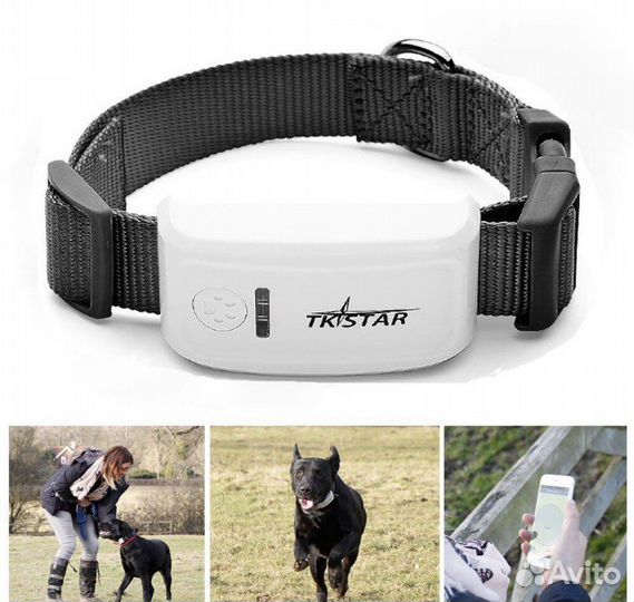 Gps трекер для собак TK909