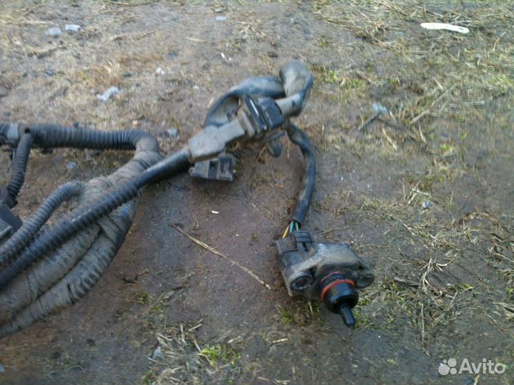 Проводка форсунок Киа Рио 1 2004г. 1,5л