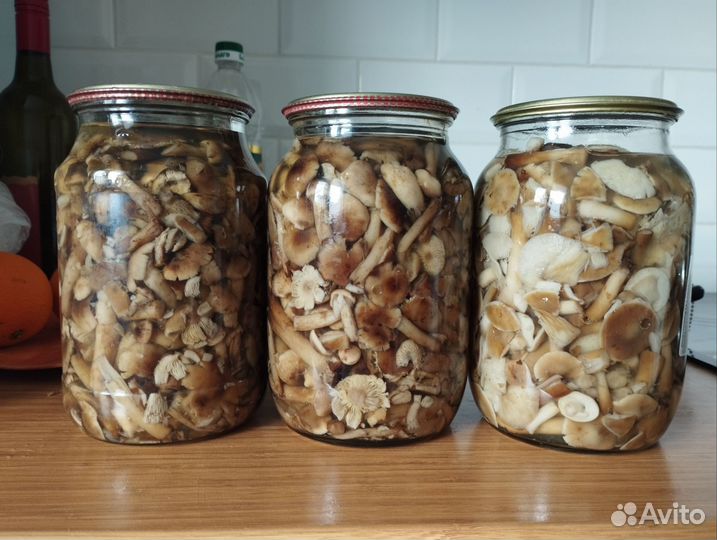 Грибы опята маринованные