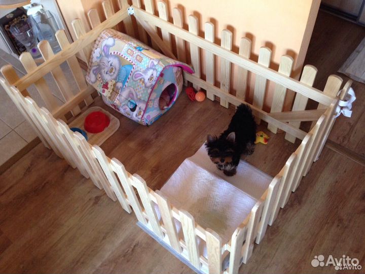 Вольеры для кошек и собак