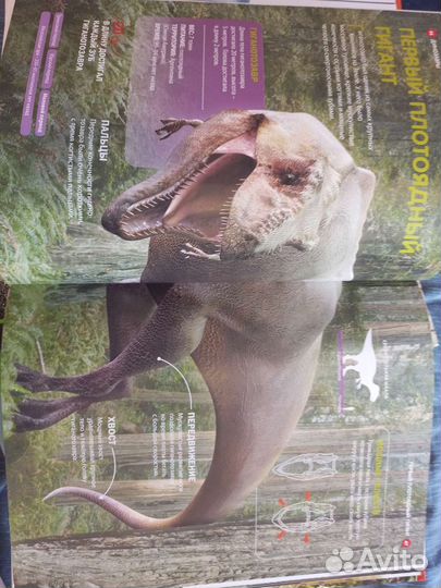 Детские книги про динозавров, насекомых, животных