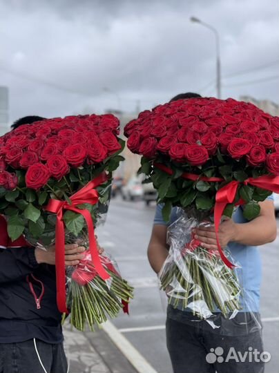 Розы шикарный