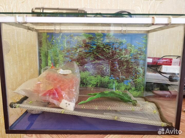 Аквариум