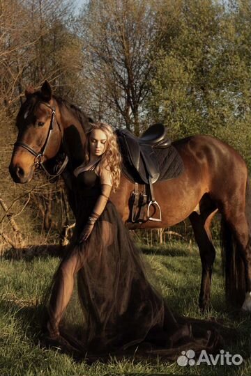 Фотосъёмка Лошадь Пони Прогулки Верховная езда