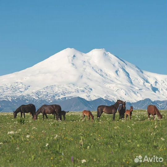 Дневной джип тур на плато Бермамыт