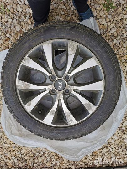 Kormoran Snow 195/55 R16