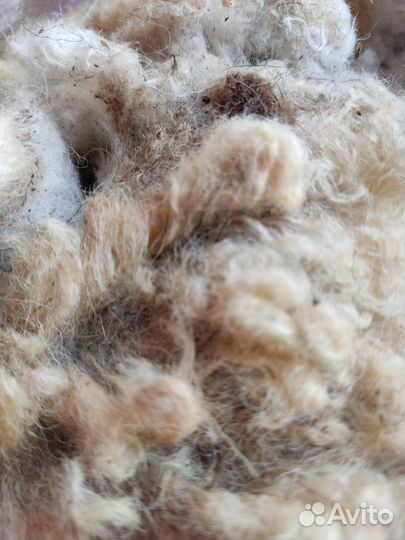 Шерсть 50 гр