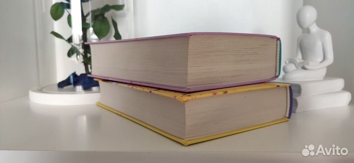 Восхитительная ведьма 2 тома Анна Джейн